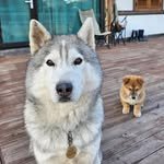borissari_b4r 프로필 사진
