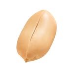 ohnutty.official 프로필 사진