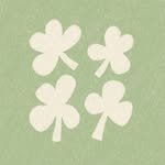 community.woom 프로필 사진