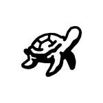 _cafe_turtle_ 프로필 사진