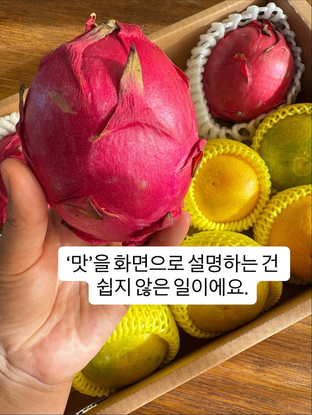 Photo by 이때다 제주 | 제철을 배우는 시간 on September 21, 2025. May be an image of mango, pomegranate, dragon fruit, pomelo, longan and text that says ''맛'을 화면으로 설명하는 건 쉽지 않은 쉽지않은 일이에요.'.