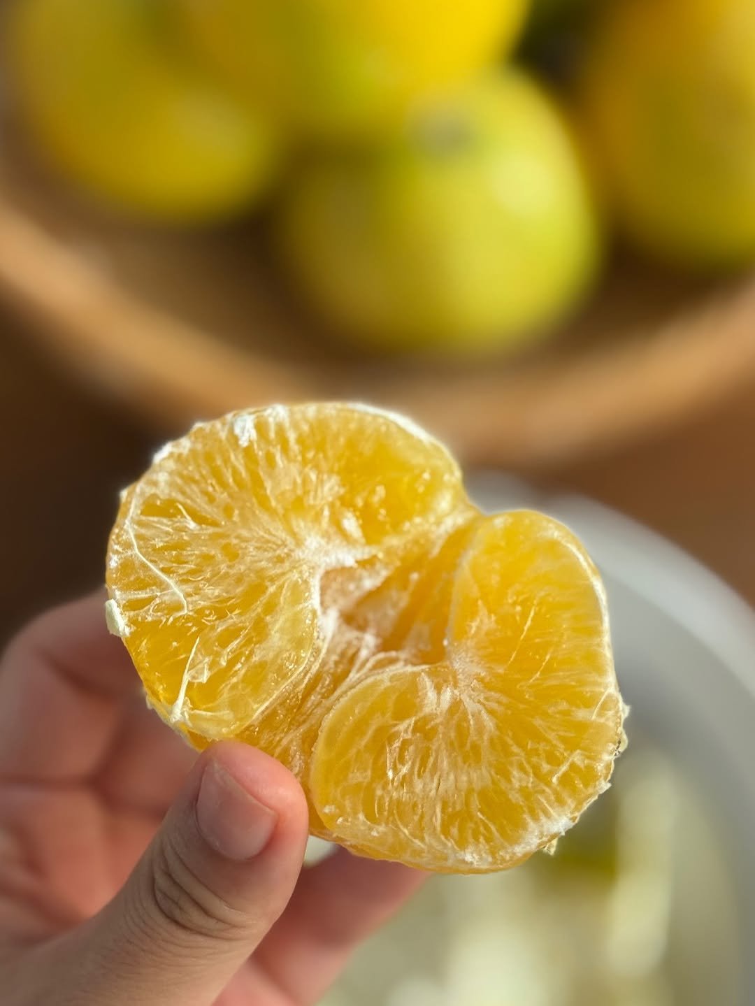 Photo by 이때다 제주 | 제철을 배우는 시간 on September 29, 2025. May be an image of grapefruit, fruit cocktail, pomelo, mandarin and text.