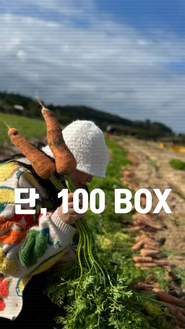 eatteda 게시물 이미지: 2025년, 이때다 제주 구좌 햇당근 14차 OPEN.

벌써 3년째 14차로...