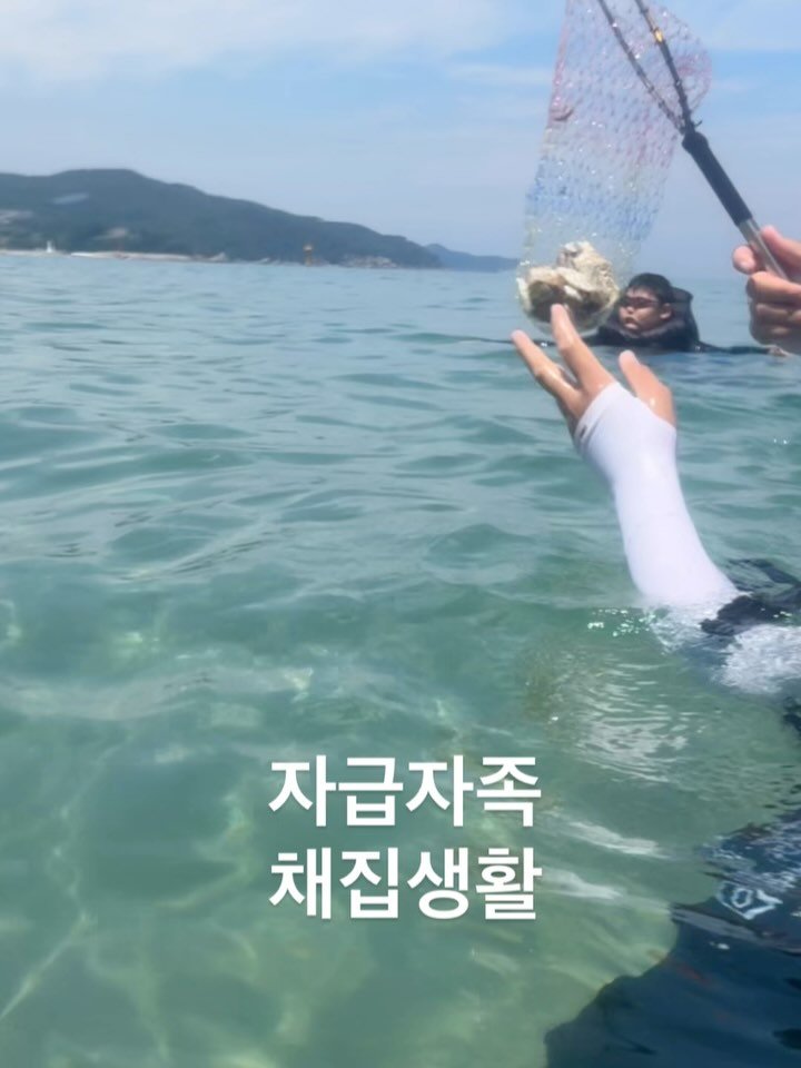 eatteda 게시물 이미지: #여름방학 #촌캉스
#이벤트가있는피드🎁
제주에서 독도까지. 가는 중에
친구네...