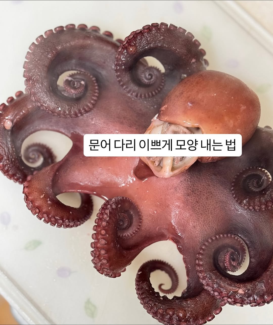 Photo by 박하나 이때다 | 제철을 전하는 브랜드 on November 11, 2025. May be an image of text that says '문어 다리 문어다리이쁘게모양내는법 0 이쁘게 모양 모양내는법 내는'.