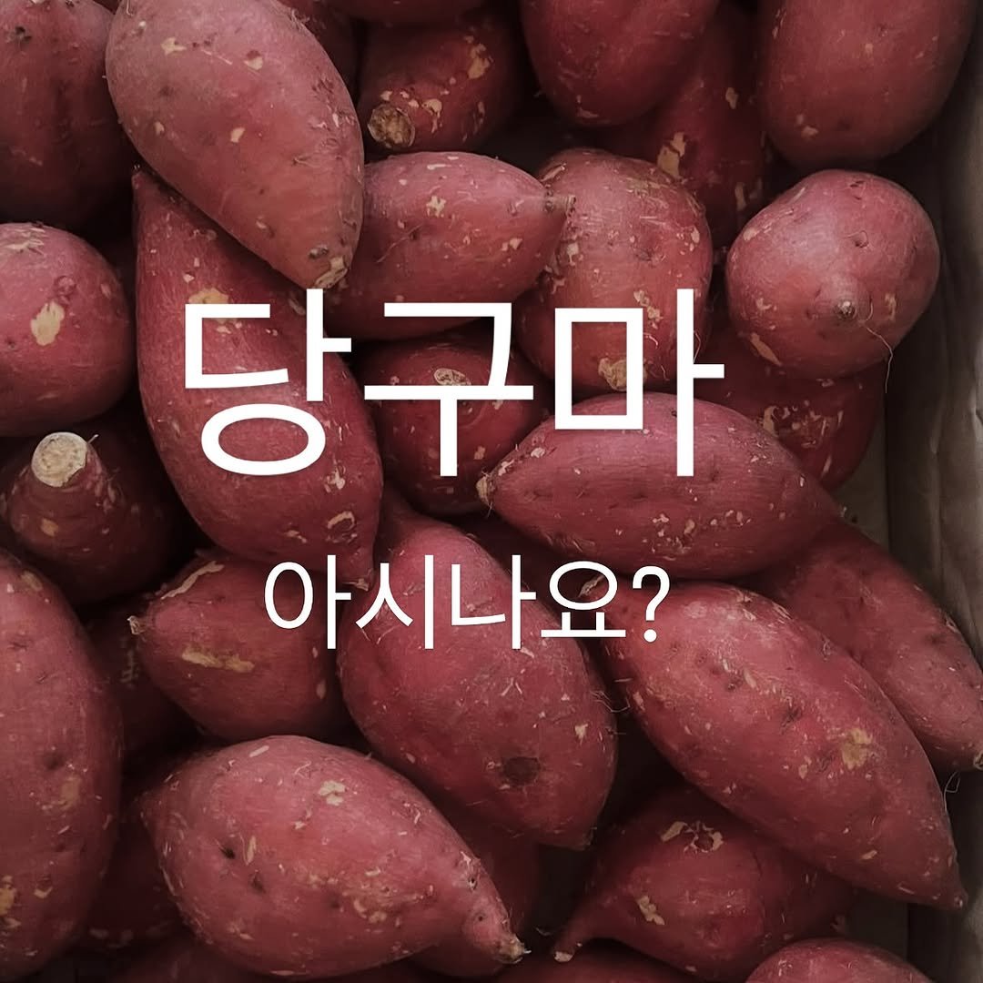 Photo by 박하나 이때다 | 제철을 전하는 브랜드 on November 05, 2025. May be an image of text that says '당구마 아시나요?'.