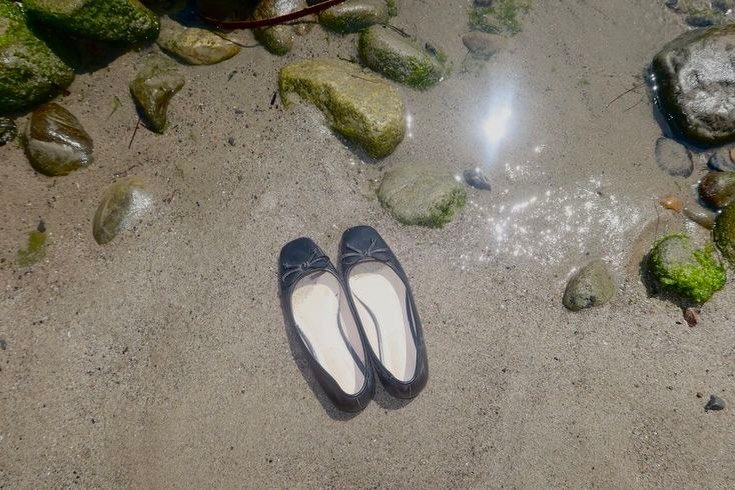 Photo by Echo in Eco on December 27, 2025. May be an image of seaweed, slingback shoes and text.