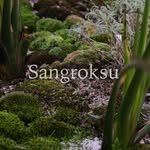 sangroksu_coffee 프로필 사진