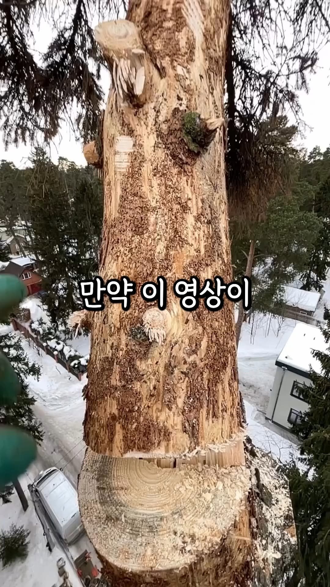 economylee99 게시물 이미지: 💥 팔로우 하고 댓글로 “이경제“을 입력해주세요🔻

단, 팔로우가 안되어 있으면...