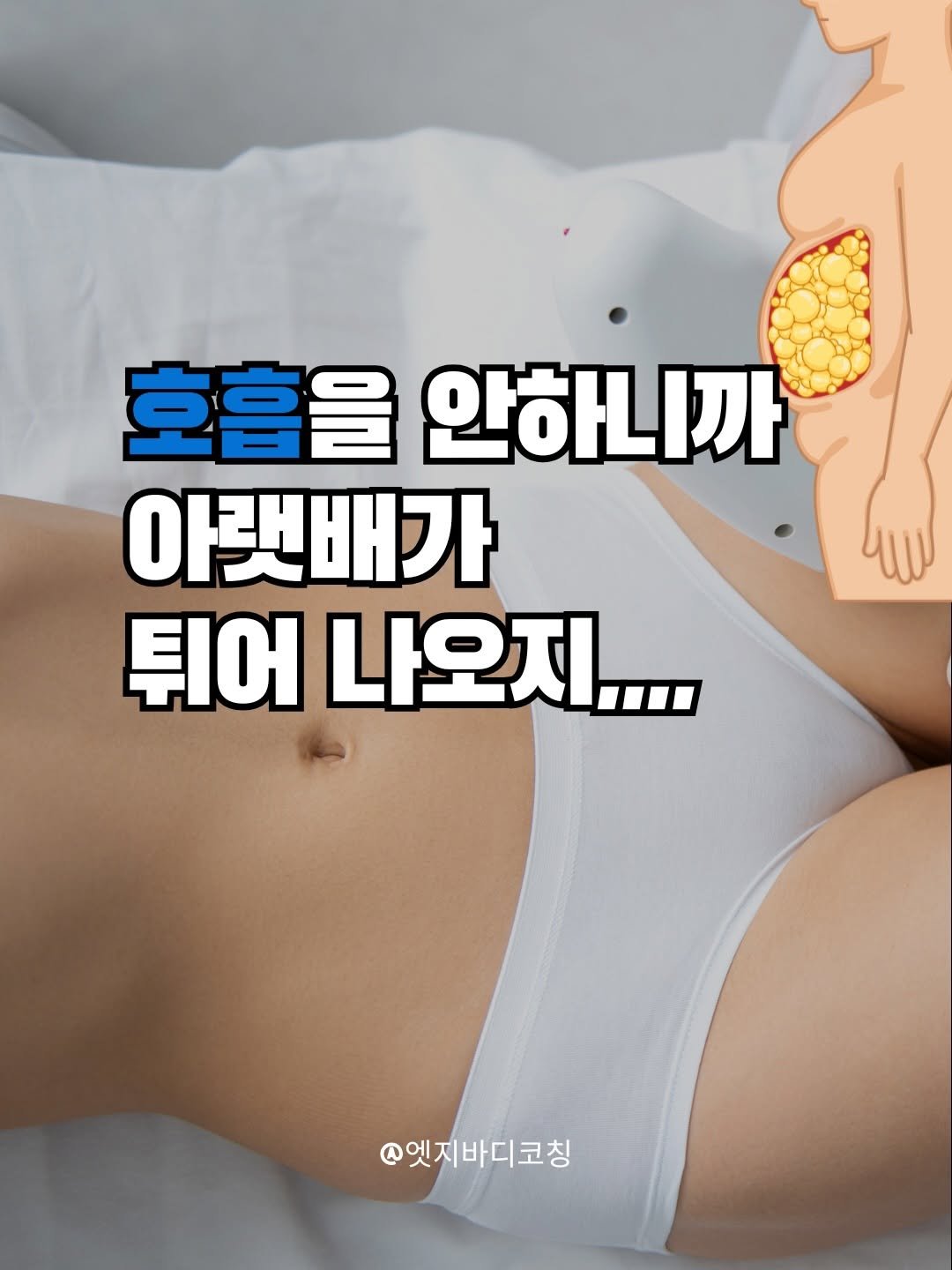 edgebody_belly 게시물 이미지: 아랫배는 열심히 뛴다고 들어가지 않아요!
복횡근 호흡을 누워서 진행 해보세요!!...