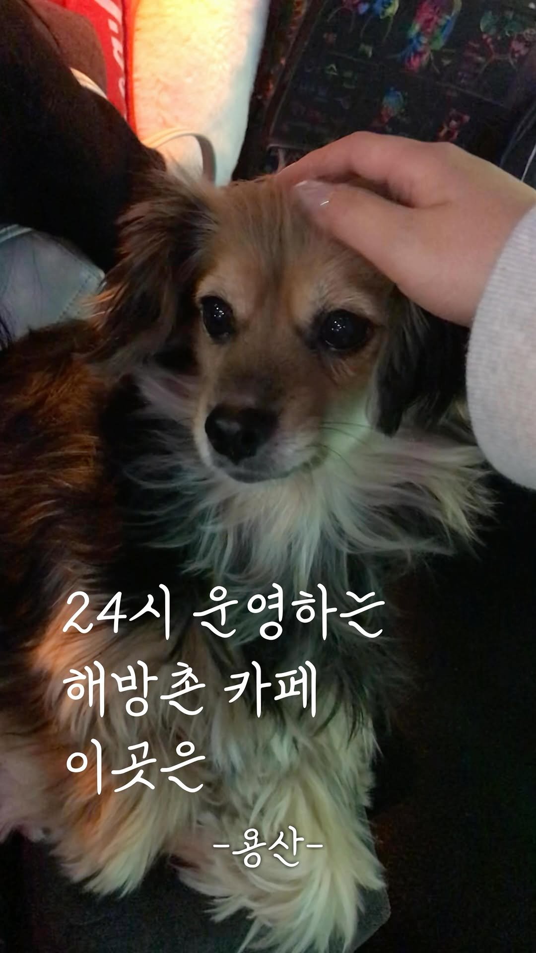 edit.seoul.mag 게시물 이미지: 2번째로 소개할 #이곳은 ‘달빛흘러간자리‘입니다.