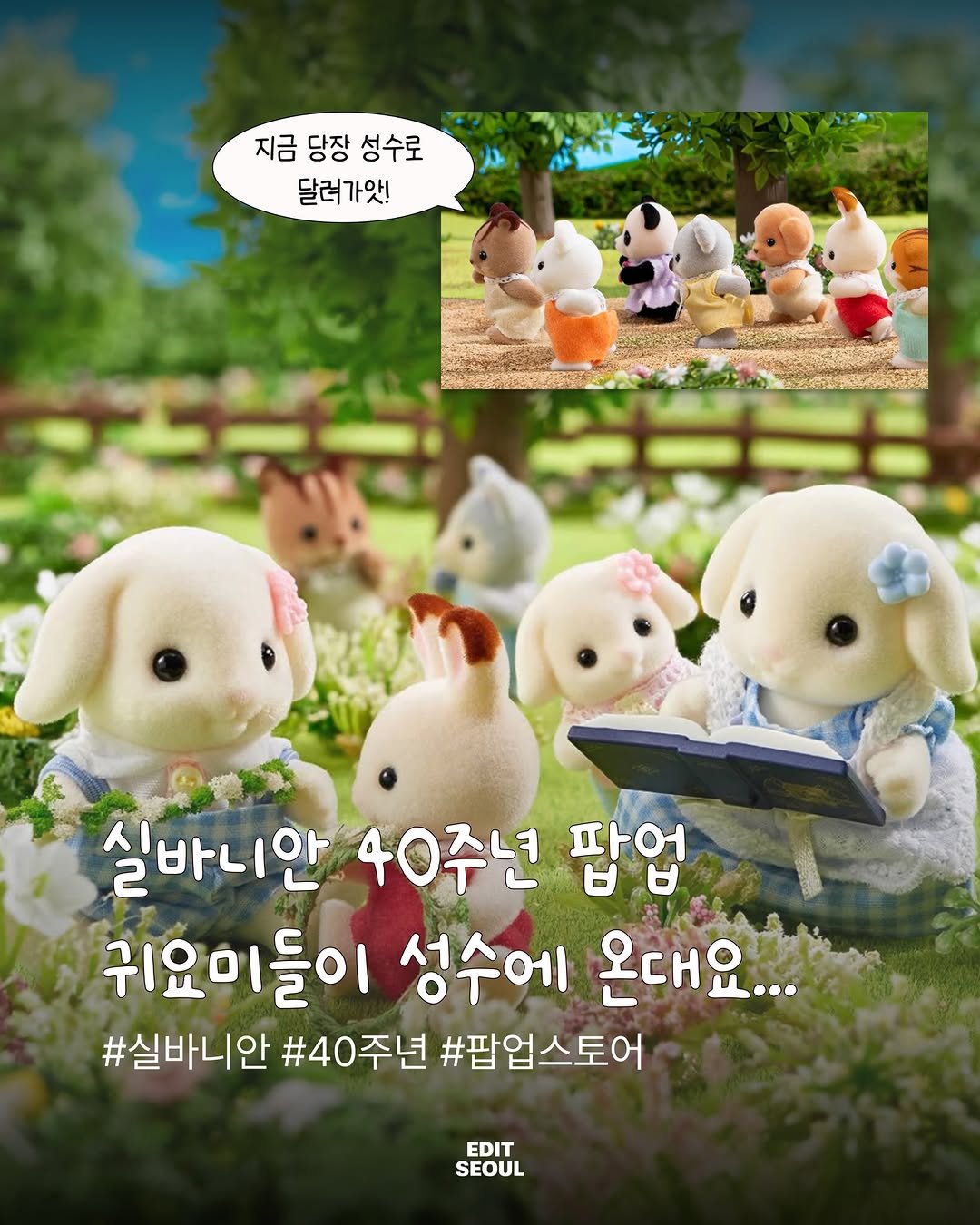 edit.seoul.mag 게시물 이미지: 실바니안 40주년 숲속 비밀 파티가 성수에서 열린대요!

실바니안 40주년 숲속...