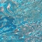 im_beannnn 프로필 사진