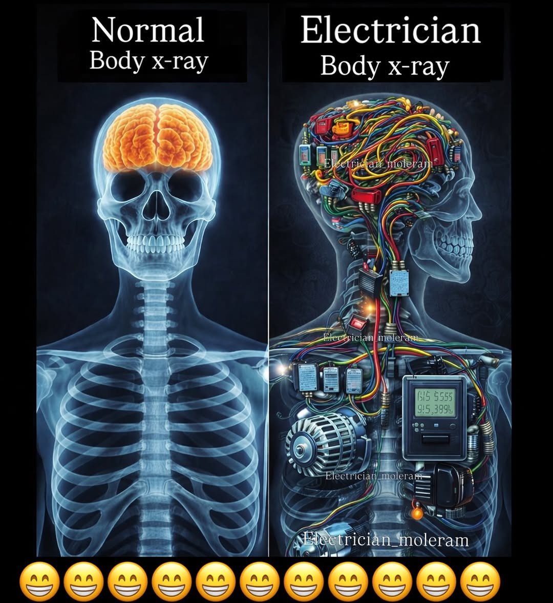 Photo by Sujeet Soni in Burhar. May be an image of xray, skull and text.