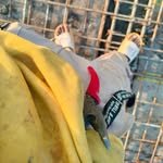 yashelectrician2025 프로필 사진