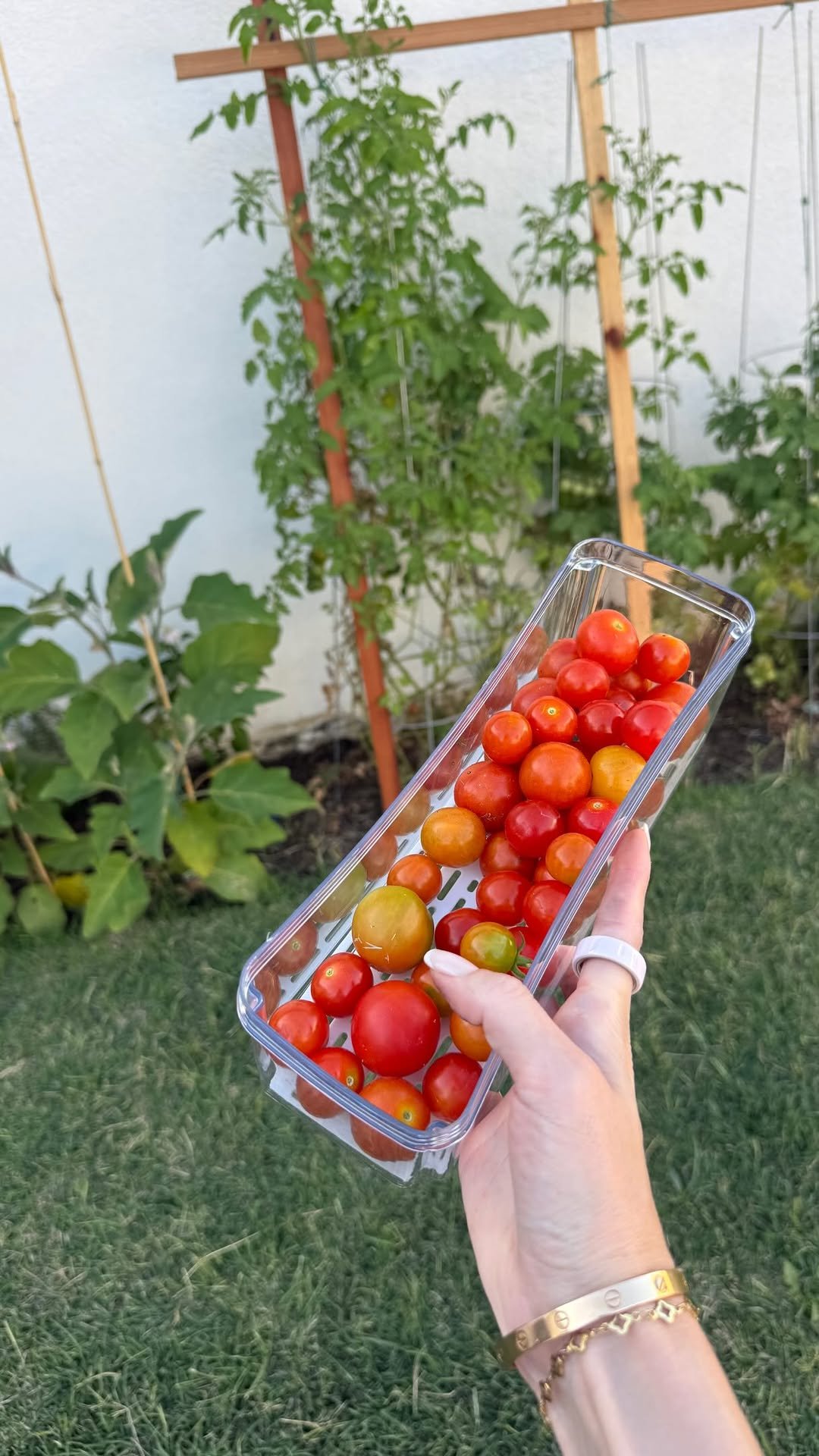 elina.danilova7 게시물 이미지: It’s the simple things in life 🥰🌱✨ #gardening...