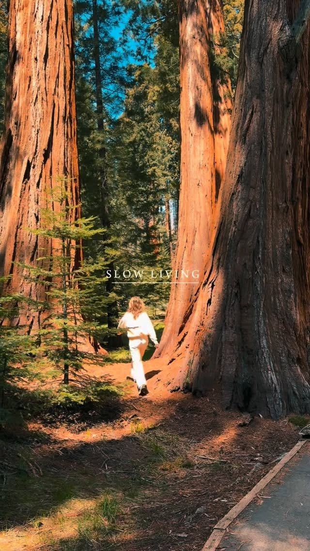 elina.danilova7 게시물 이미지: Sleep. Slow mornings. Nourishing meals....