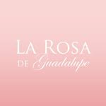 larosadeguadalupeof 프로필 사진