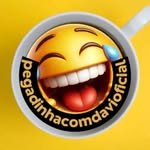 pegadinhadavioficial 프로필 사진