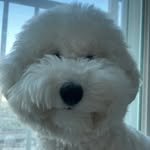 atto_vtz 프로필 사진