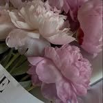 tree19_ro 프로필 사진