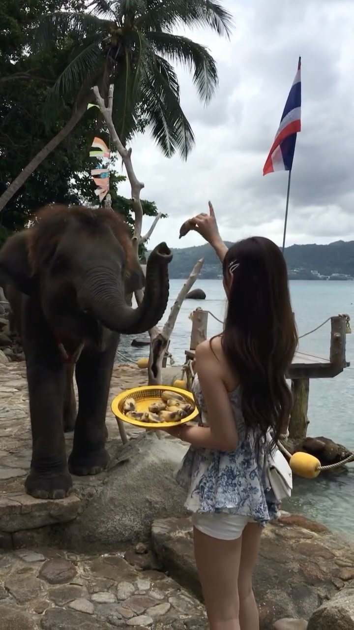 ellefit_.uri 게시물 이미지: 코끼리아저씨는 진짜 코가 손임
.
#엘르핏 #휴가룩코디 #thailand