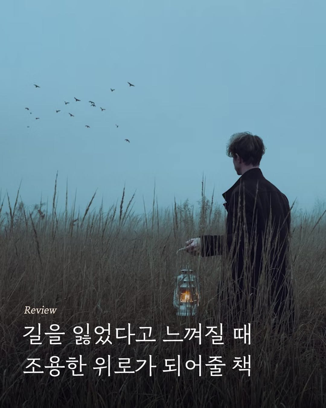 Photo by 엘리 출판사 on June 24, 2025. May be an image of 1 person, poster and text that says 'Review 길을 잃었다고 느껴질 때 조용한 위로가 되 되어줄 책'.