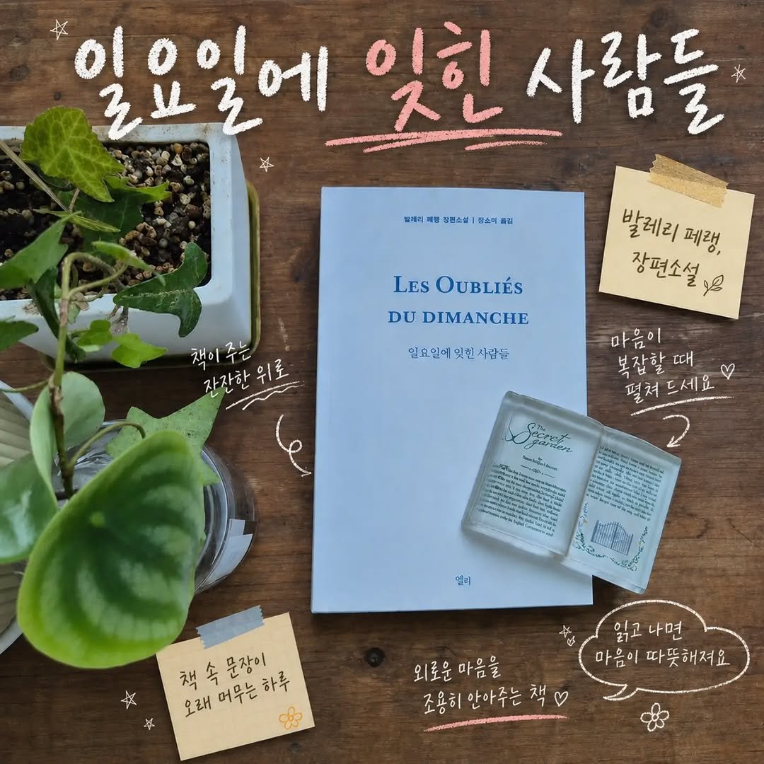 ellelit2020 게시물 이미지: #일요일에잊힌사람들 
발레리 페랭 
#장편소설 
#엘리출판
#도서제공

🌱늙었다는...