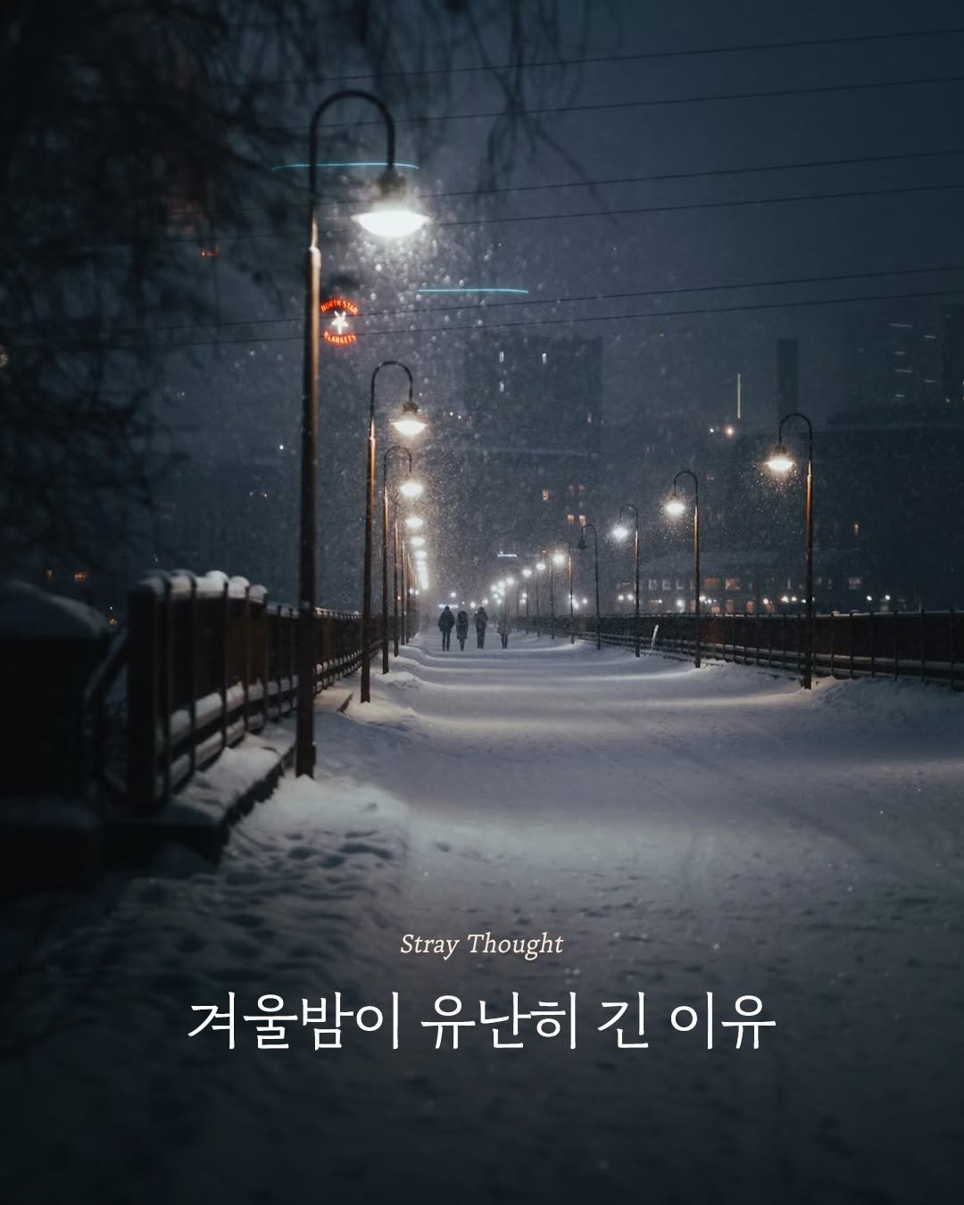Photo by 엘리 출판사 on November 05, 2025. May be an image of street and text that says 'M RARutR Stray Thought 겨울밤이 유난히 긴 이유'.