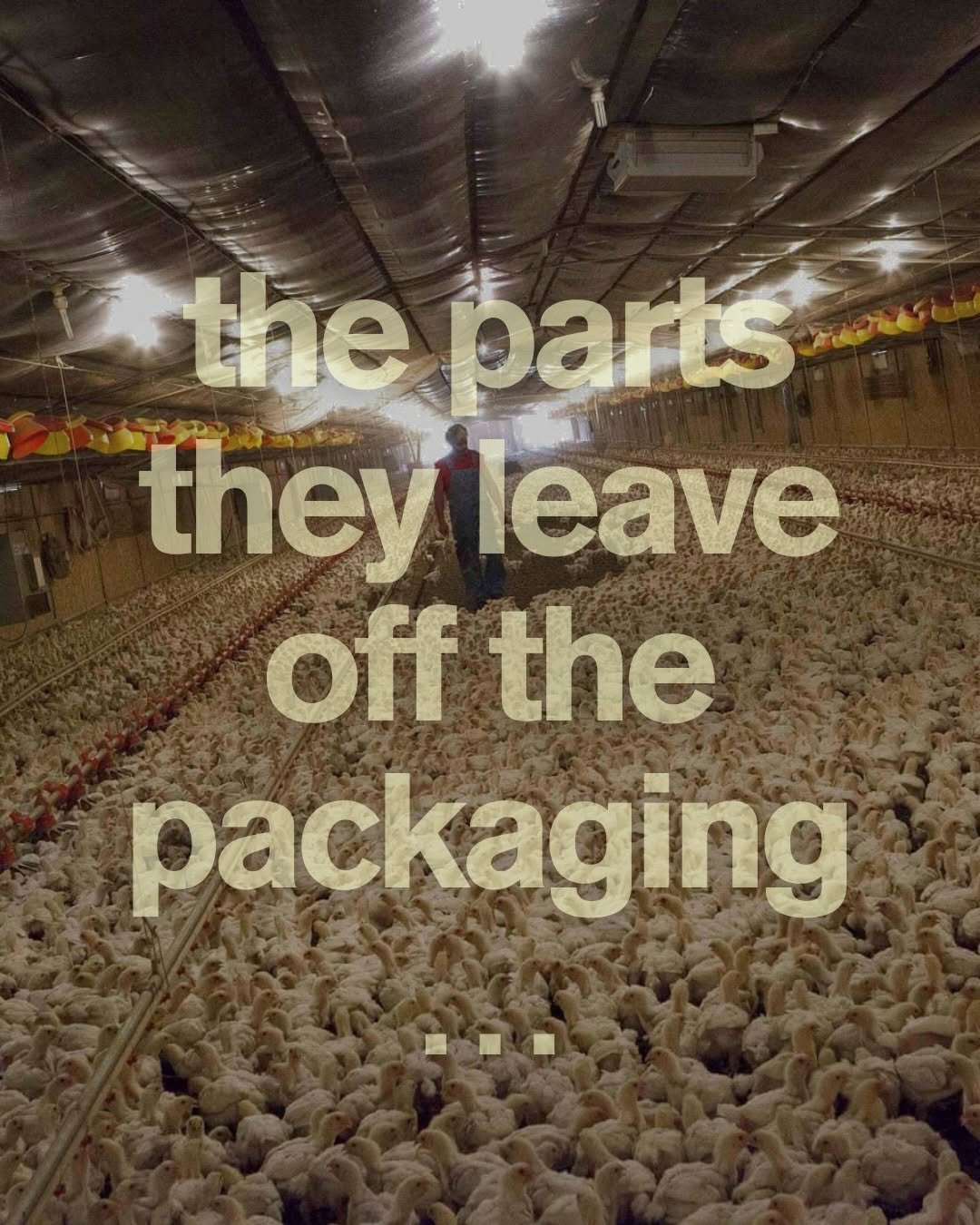 ellysplate 게시물 이미지: There is no ethical way to kill an animal who...