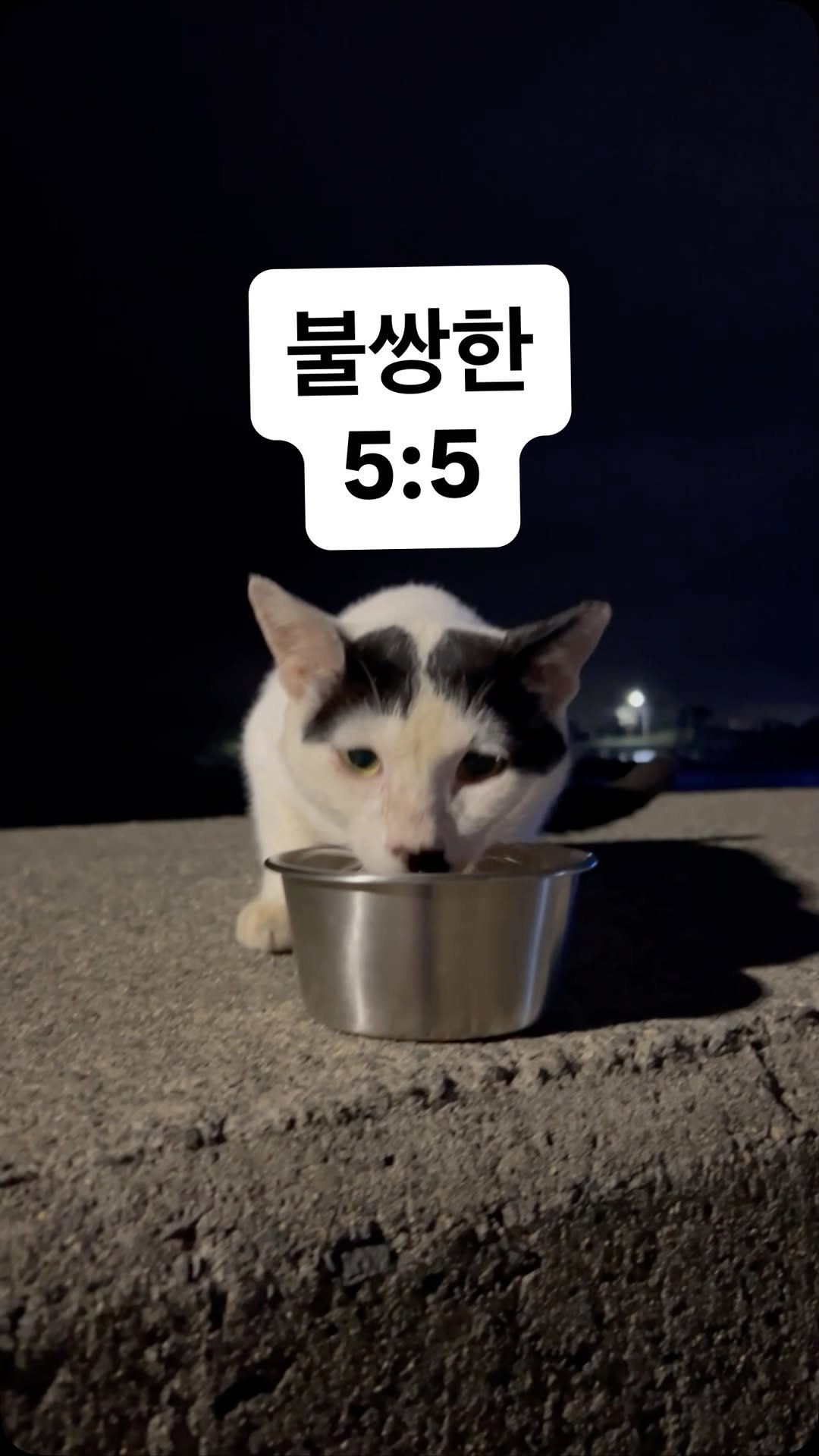 elsa.eyes 게시물 이미지: 5:5가 아이들과 진해지면 좋겠어요😀
불쌍한 5:5 ㅜㅡㅜ 😭😭😭
#웃음이나오는건왜일까