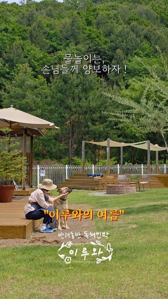 eluuwa_hc 게시물 이미지: .
푸른 녹음, 이루와 🌿
.
쨍한 햇살이 내리쬐고,
잔디는 이제는 푸르른...