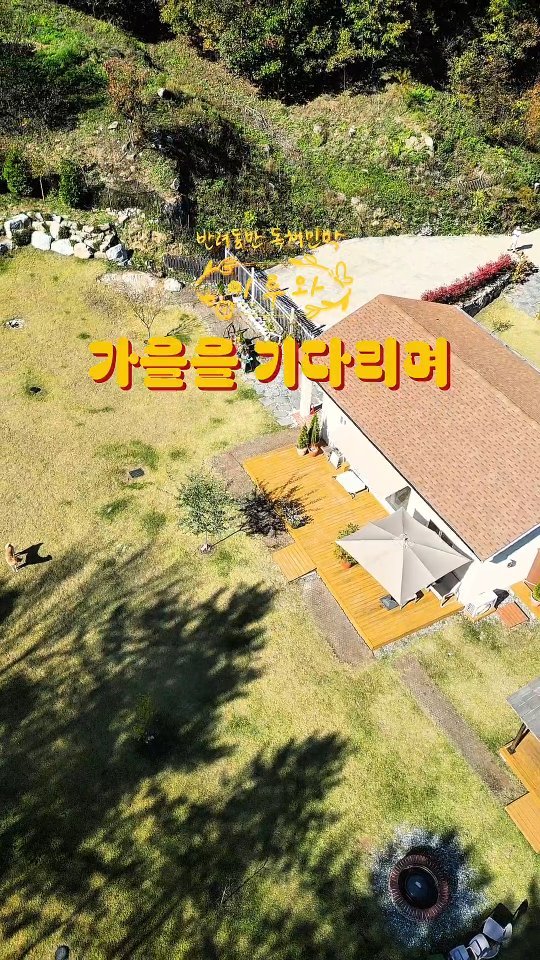 eluuwa_hc 게시물 이미지: .
가을 🍂 
.
어느새 아침 저녁으로는 쌀쌀해진 날씨,
파아랄 정도로 녹음이...