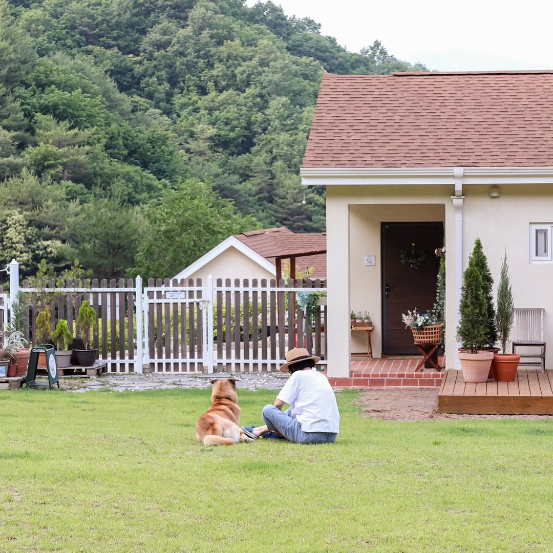 Photo by 이루와 𝔼𝕃𝕌𝕌𝕎𝔸 on July 17, 2025. May be an image of 1 person, Groenendael, Norwich terrier, deck chair, grass and text.