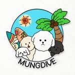 mungdive 프로필 사진