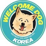 welcomedogkorea 프로필 사진