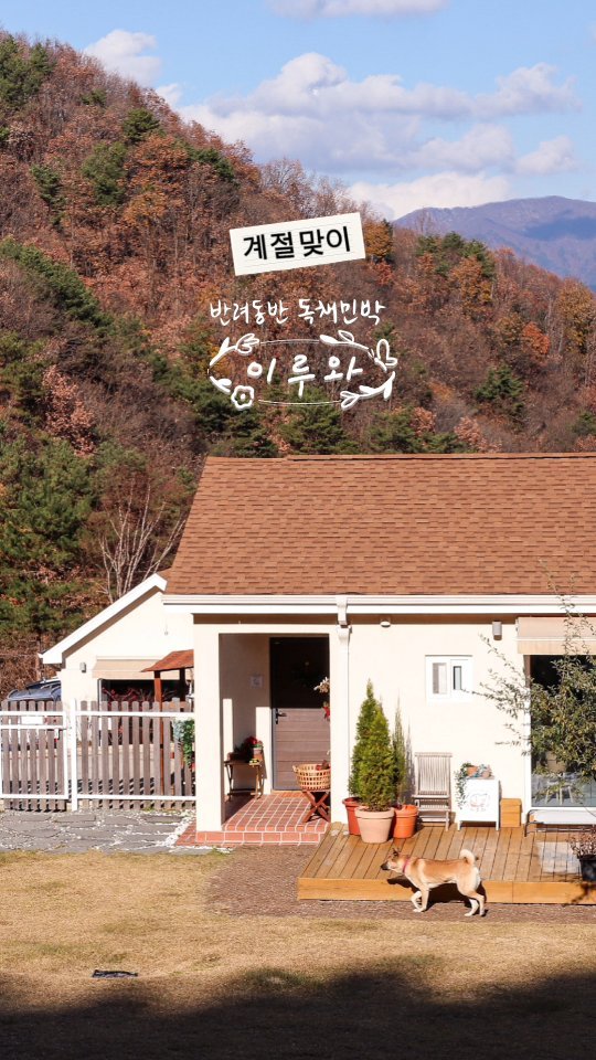 eluuwa_hc 게시물 이미지: 가을겨울 맞이 🍂 
.
무슨 가을이 이렇게 더워!
아니 벌써...