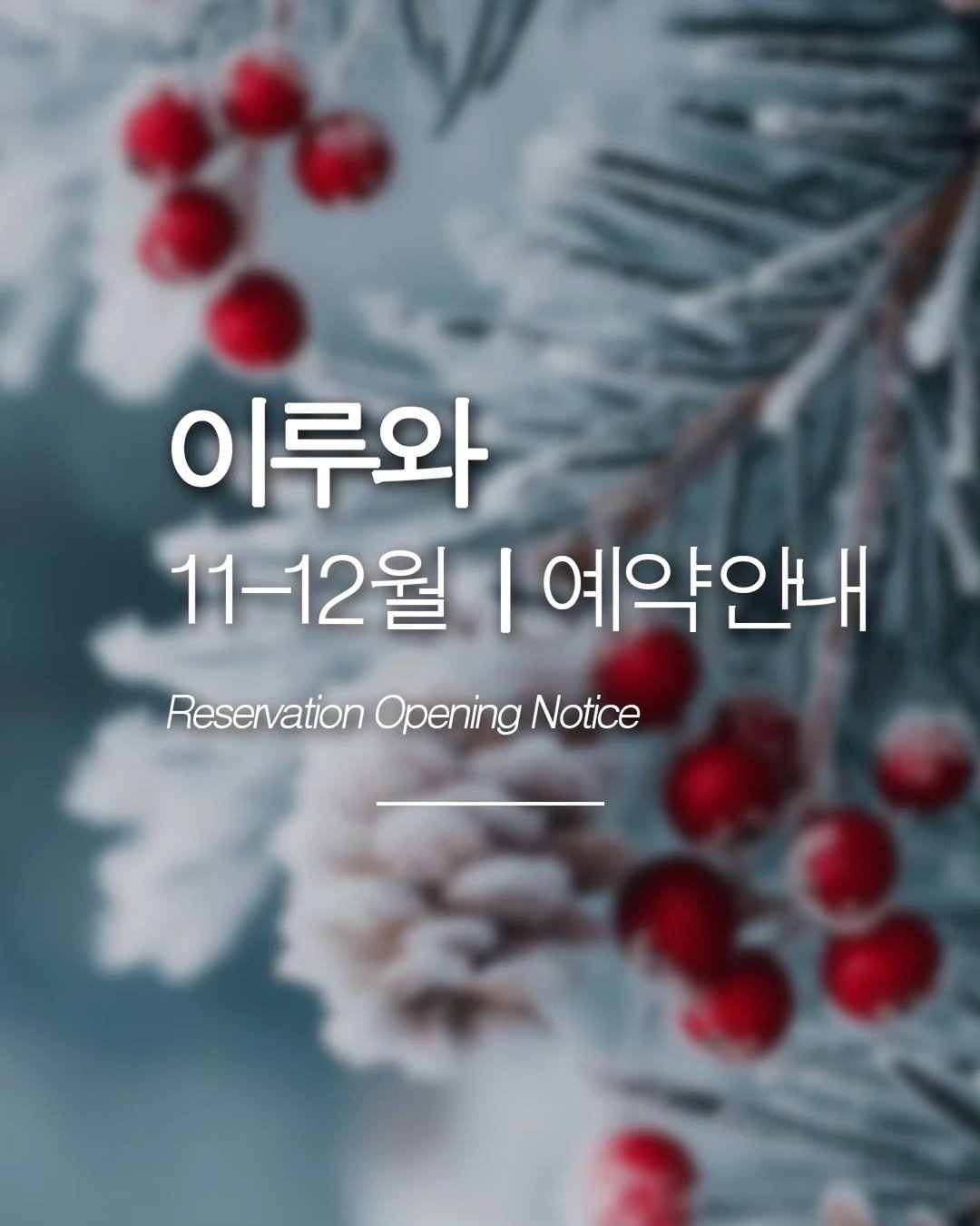 Photo by 이루와 𝔼𝕃𝕌𝕌𝕎𝔸 in 강원도 홍천. May be an image of text that says '이루와 11-12월 I 예약안내 ReservationOpeningNotice Reservation Opening Notice'.