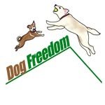 dog__freedom 프로필 사진