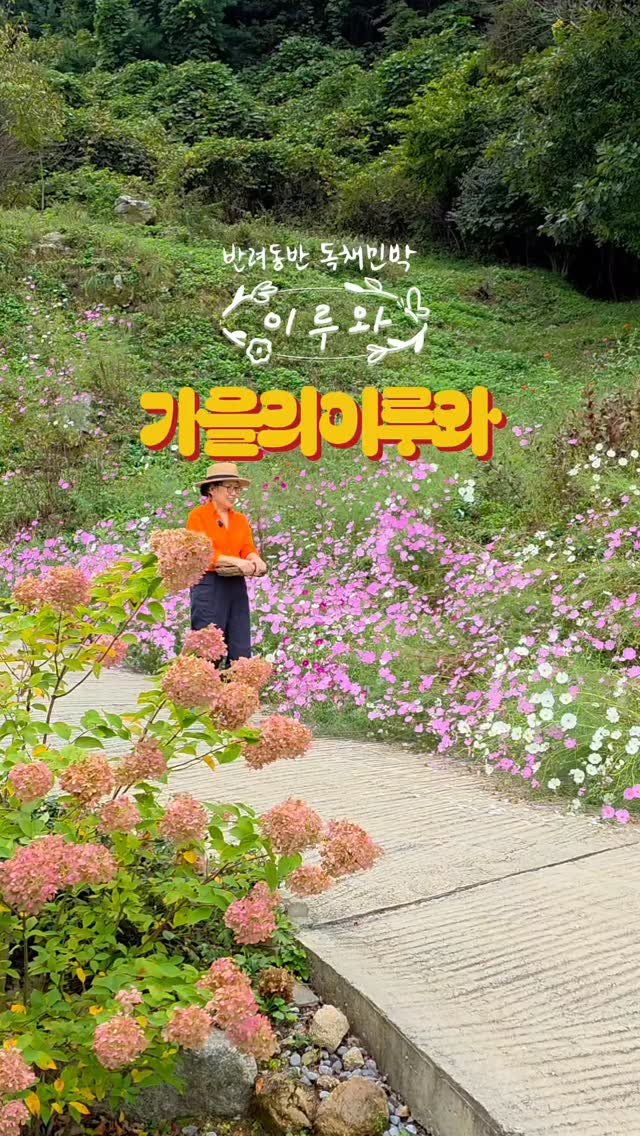 eluuwa_hc 게시물 이미지: .
이루와의 가을 🍂 
.
비가 보슬보슬 내리는 
추석 연휴를 지나
이제 본격적인...