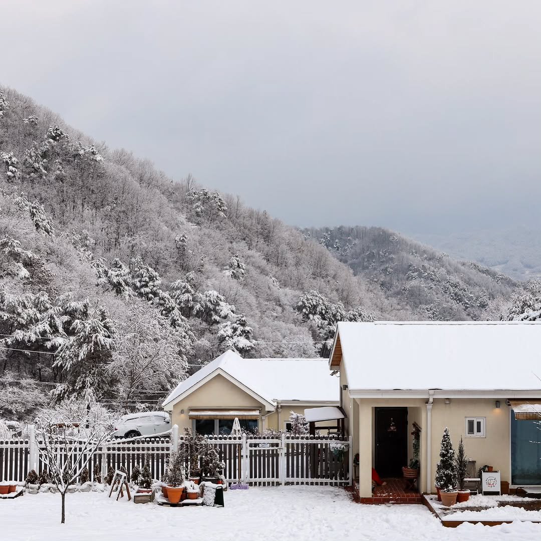 Photo by 이루와 𝔼𝕃𝕌𝕌𝕎𝔸 on January 16, 2026. May be an image of ski slope, snow and text.