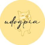 udogpia 프로필 사진