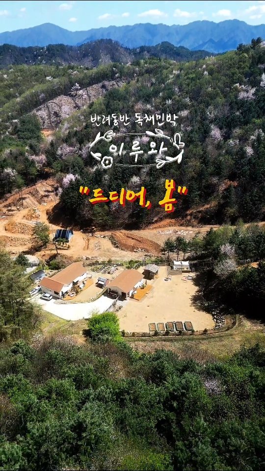 eluuwa_hc 게시물 이미지: .
드디어- 봄 🌸
.
수많은 봄 예고(?) 끝에,
드디어 이 곳 홍천에도
느린...