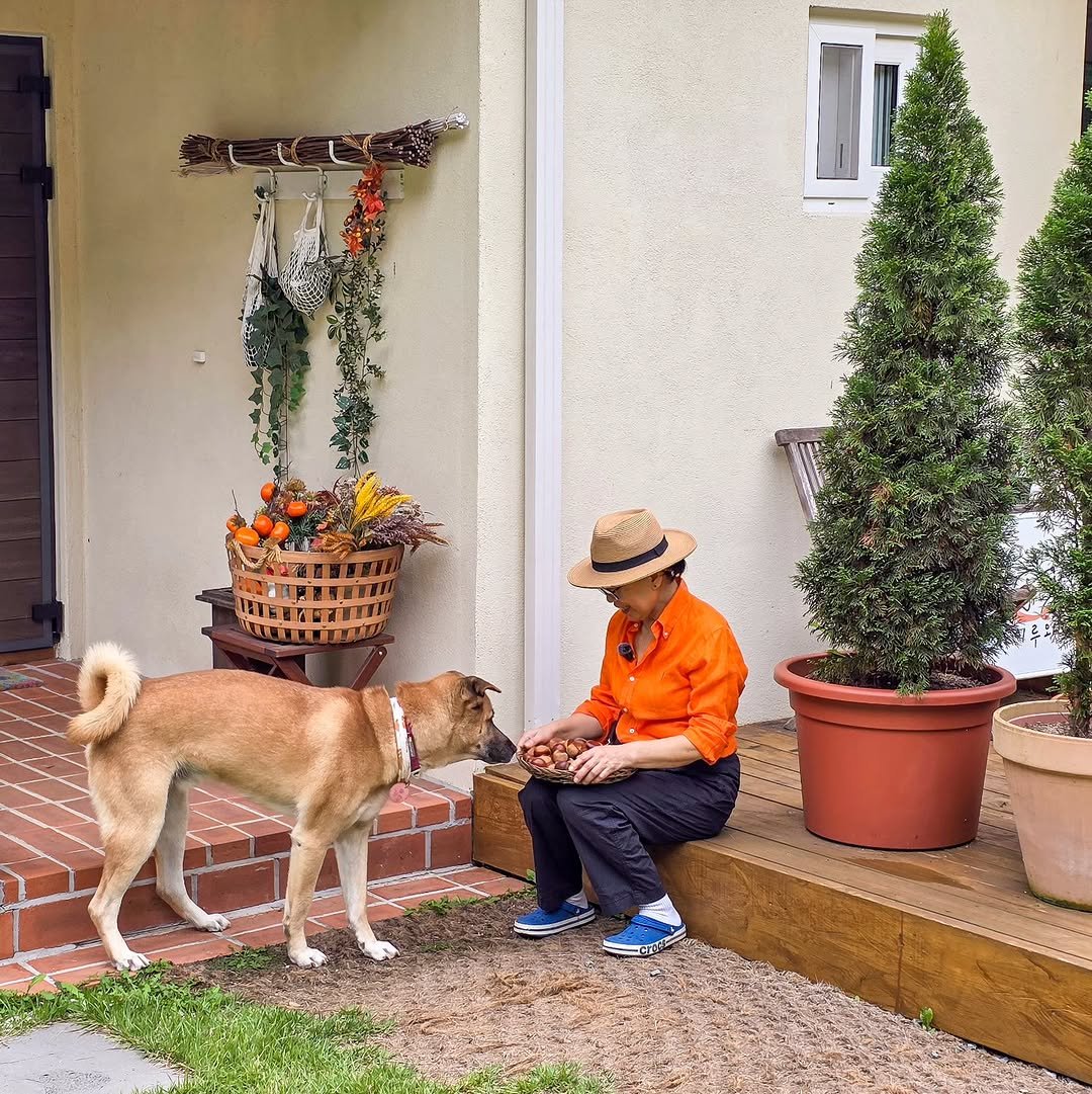 Photo by 이루와 𝔼𝕃𝕌𝕌𝕎𝔸 on October 15, 2025.