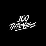100thieves 프로필 사진