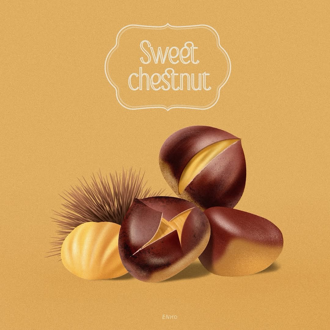 en_ho 게시물 이미지: 🌰

#illustration #graphicdesign