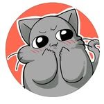 strong_matcha 프로필 사진