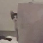 a_n_o2mass 프로필 사진