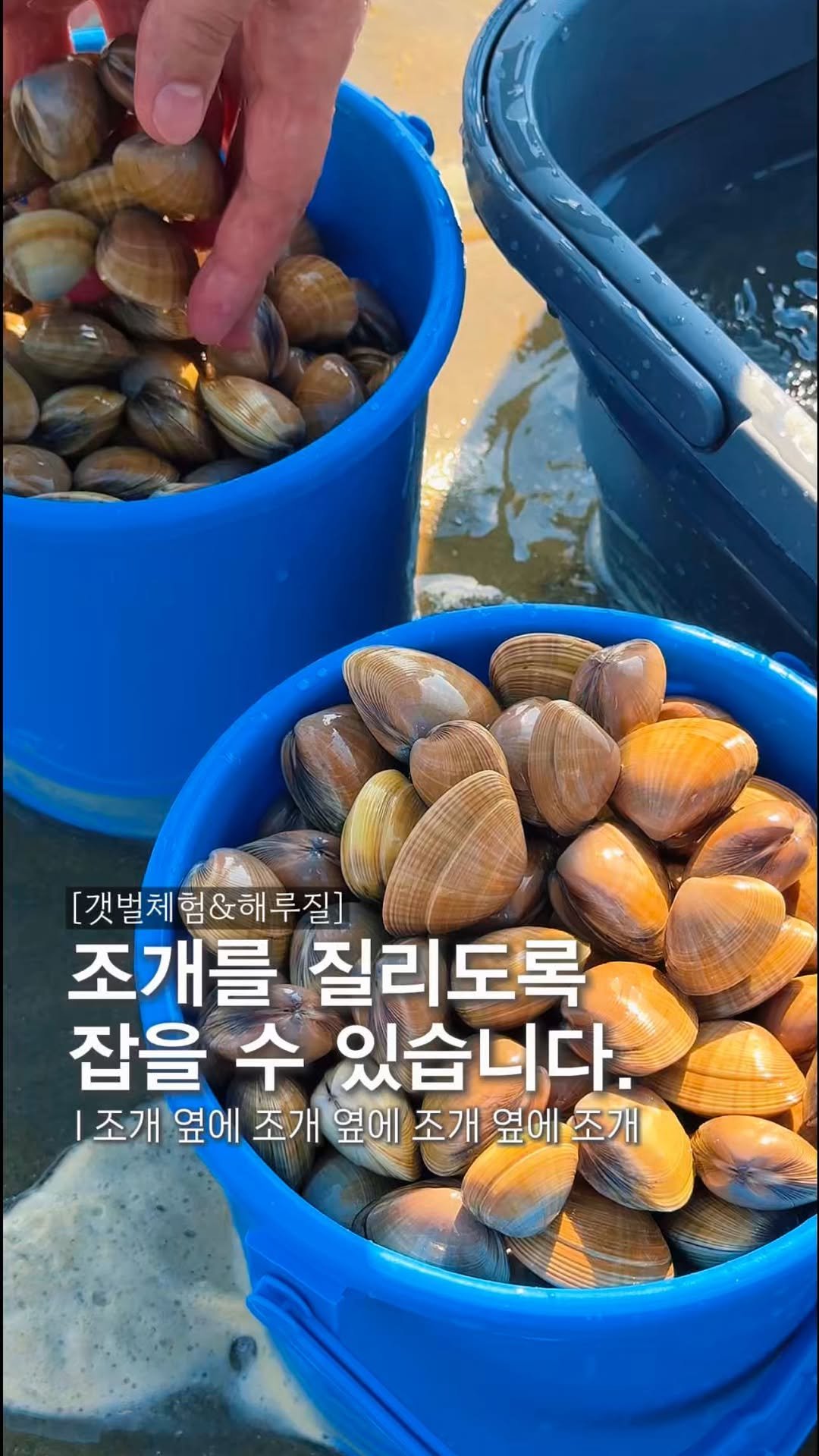 endor._.camping 게시물 이미지: 이왕 가시려는거 제대로 된 곳으로 가셔야죠

갯벌체험 스팟중에 딱 한곳만 갈 수...