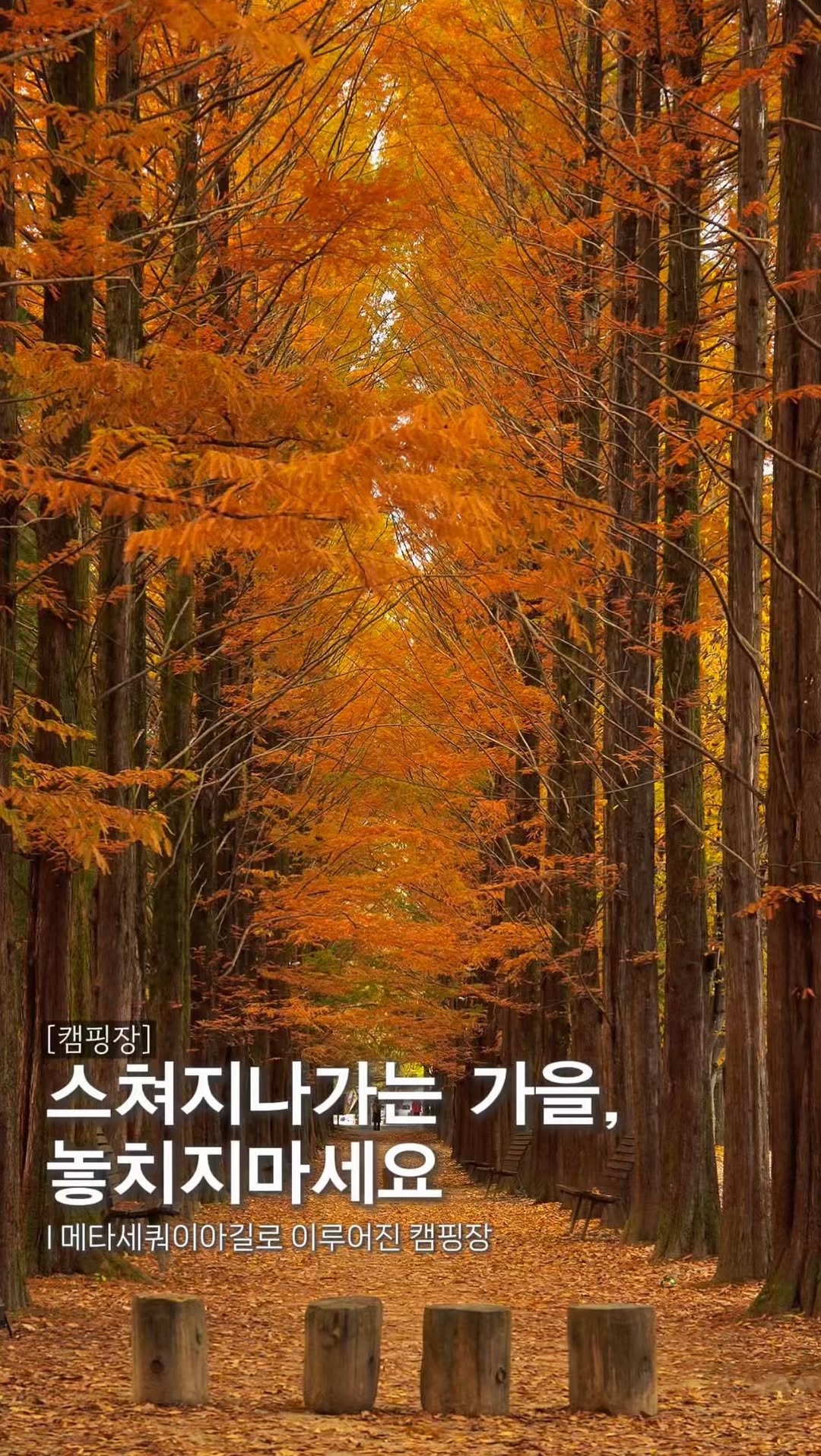 endor._.camping 게시물 이미지: 계절마다 방문하고 있는 캠핑장&펜션 입니다. 
*위 영상은 ‘24년 촬영본...